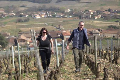 Pouilly Fuisse Vineyards with Town of Fuisse